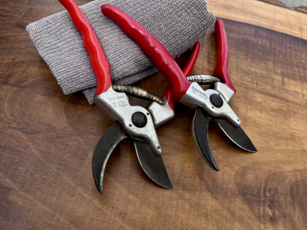 Felco and Corona bypass pruners freshly sharpened on Ronnie's workbench at Cowboy Sharp