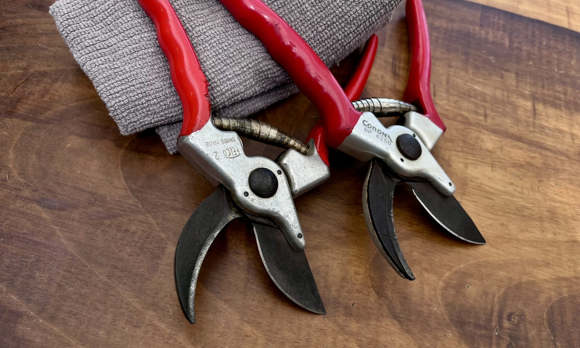 Felco and Corona bypass pruners freshly sharpened on Ronnie's workbench at Cowboy Sharp